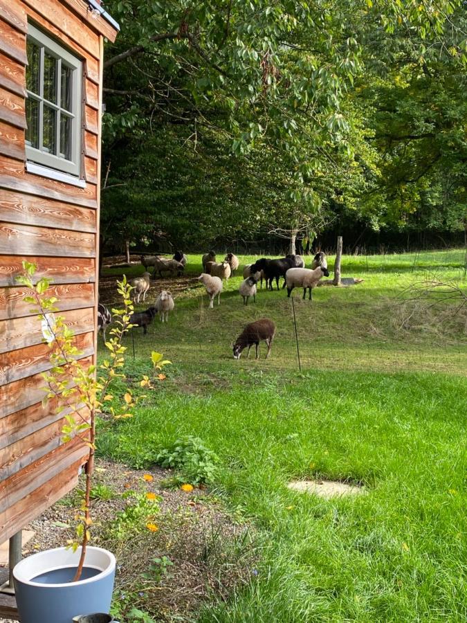 Grimmwald Tiny House *